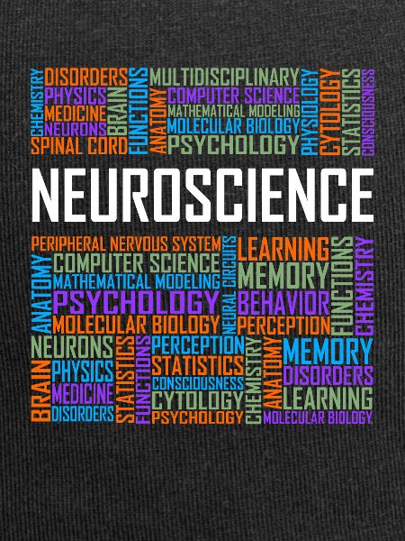 Neuroscience - Words