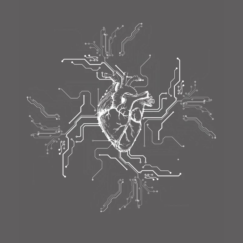 Anatomical Heart CPU Processor PCB Board Computer