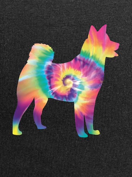 Tie Dye Dog