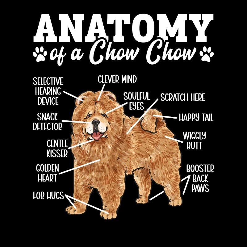 Chow Chow Chien