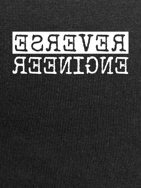 Reverse Engineer Softwareingenieur Developer