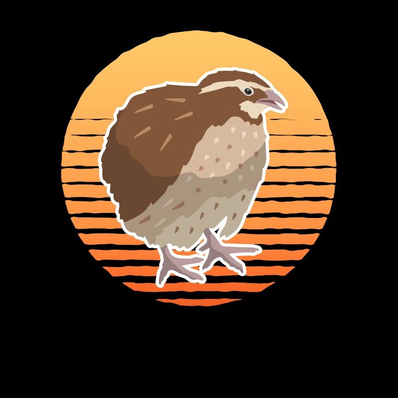 Quails quail breeder quail keeping gift