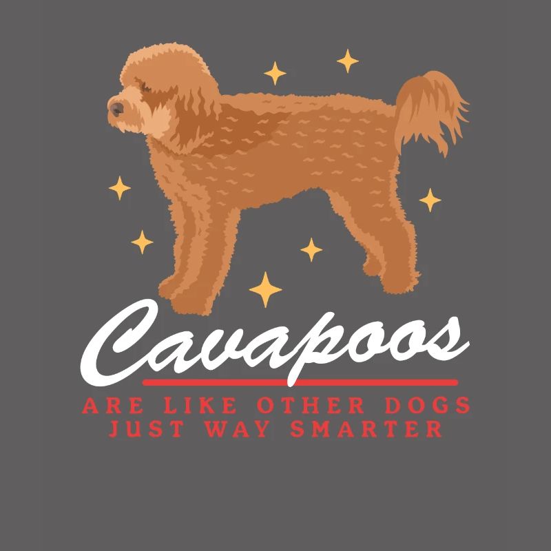 Chiens Cavapoo | Cadeau du propriétaire de chien Cavoodle