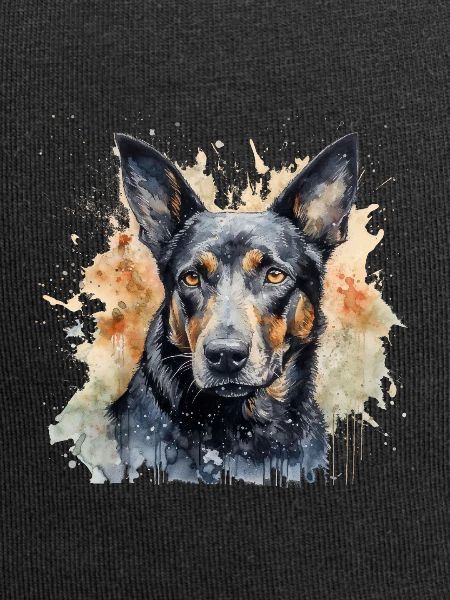 Australian Kelpie