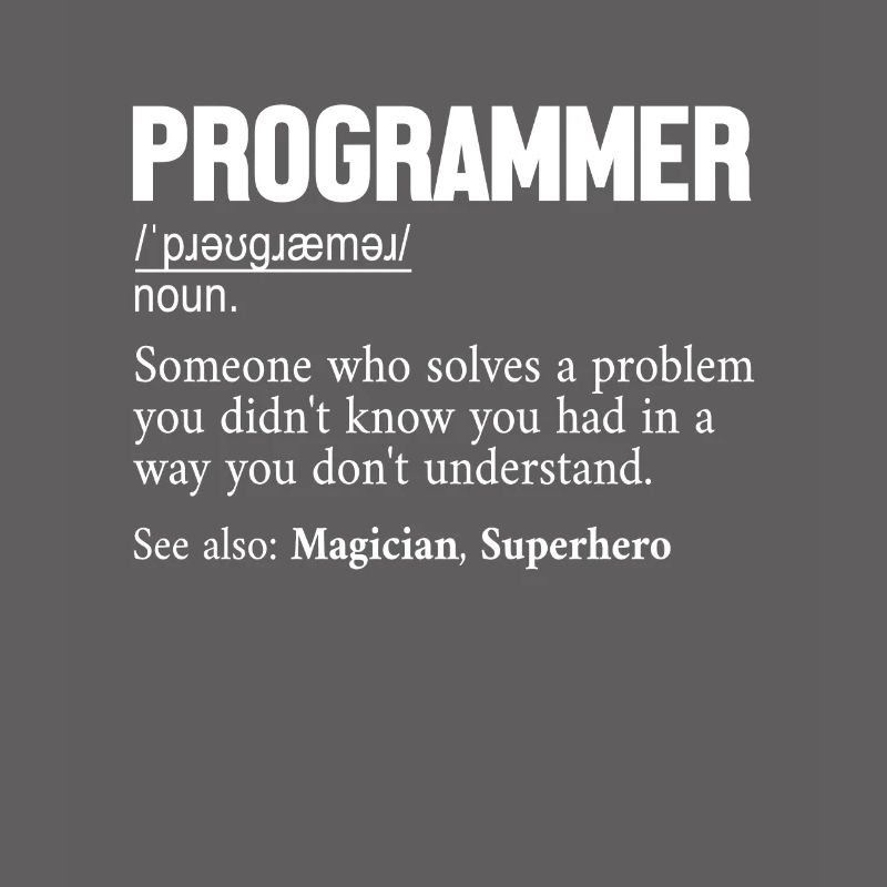Programmer Definition Softwareentwickler Coder