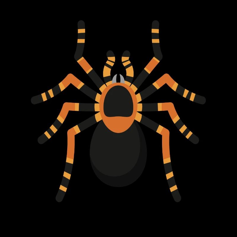 Araignée Araignée Tarentule