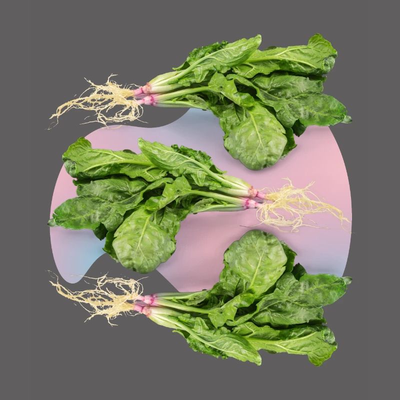 Spinach, fresh spinach spinach leaf spinach