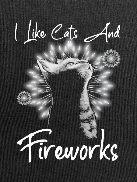 Cats And Fireworks