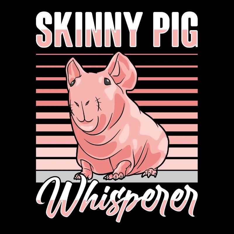 Cochon d’Inde sans poils Cochon maigre