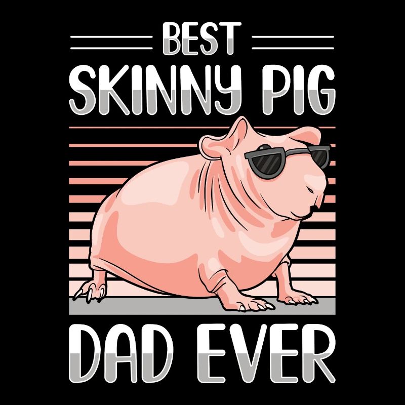 Cochon d’Inde sans poils Cochon maigre
