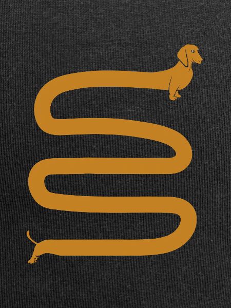 Long dachshund