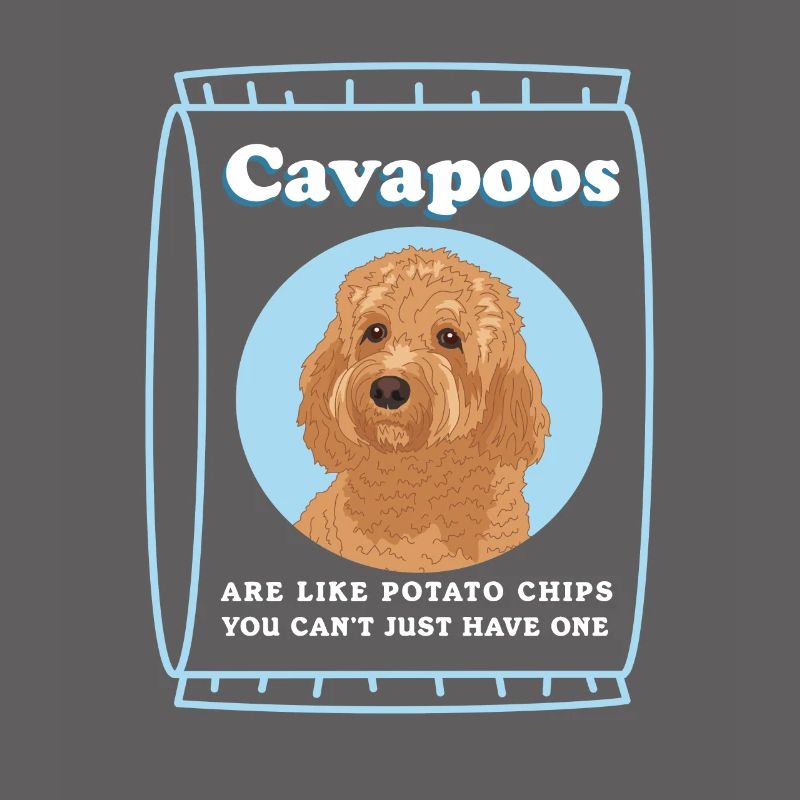 Chien Cavapoo | Cadeau du propriétaire de chien Cavoodle