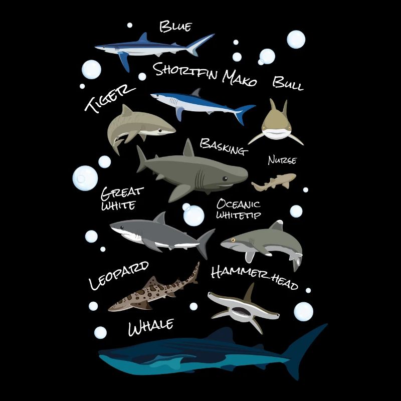 Shark Species Shark Fish
