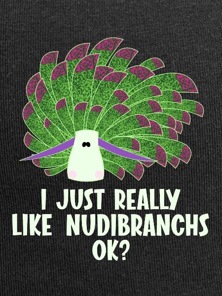 Nudibranches nudibranches
