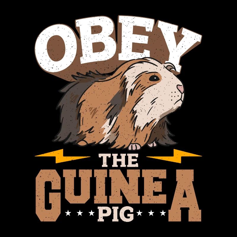 Cochon d’Inde Obéir à l’amoureux des animaux du cochon d’Inde Cavy