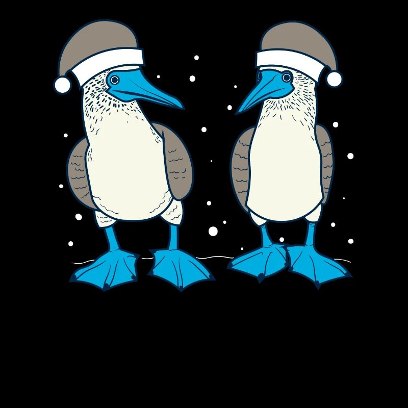 Fou à pieds bleus Noël