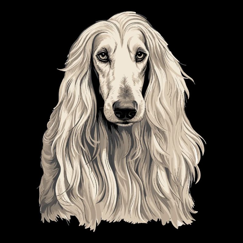 Dog Afghan Hound