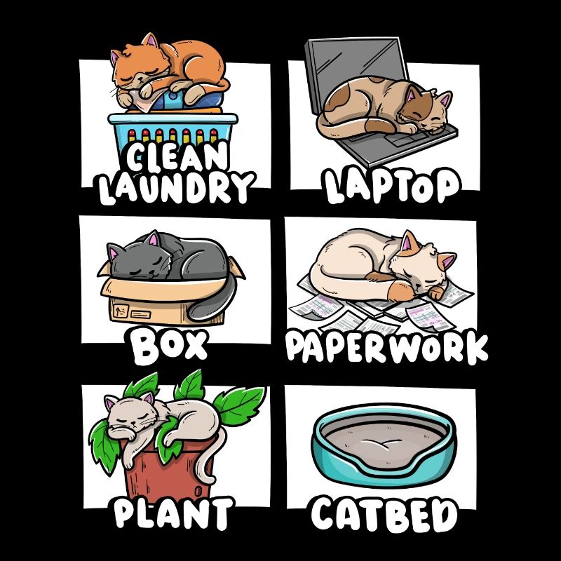 Clean Laundry Box Cat Bed Kitten Lover Sleepy