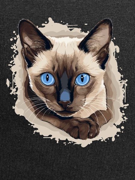 Siamese Cat Siamkatze