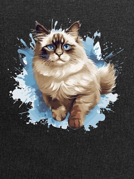 Ragdoll