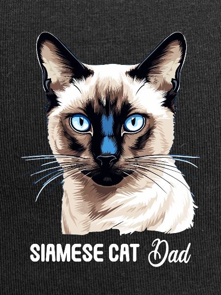 Siamese Cat Siamkatze