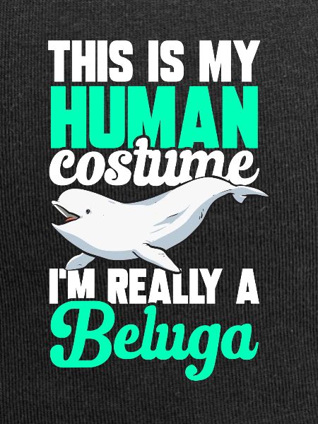 Weißwal Beluga Wal