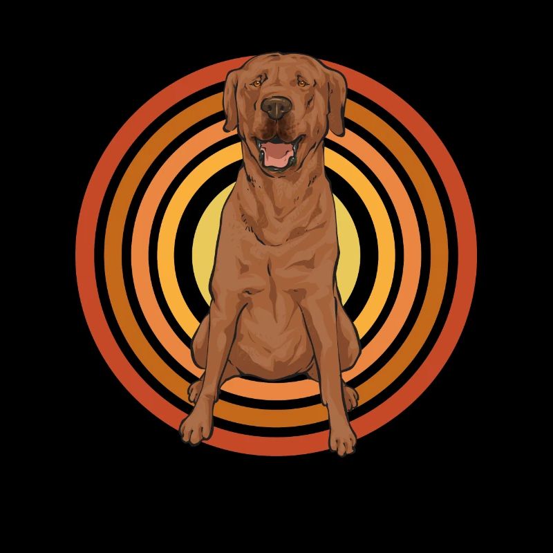 Foxred Labrador Fuchsroter Labrador Retriever