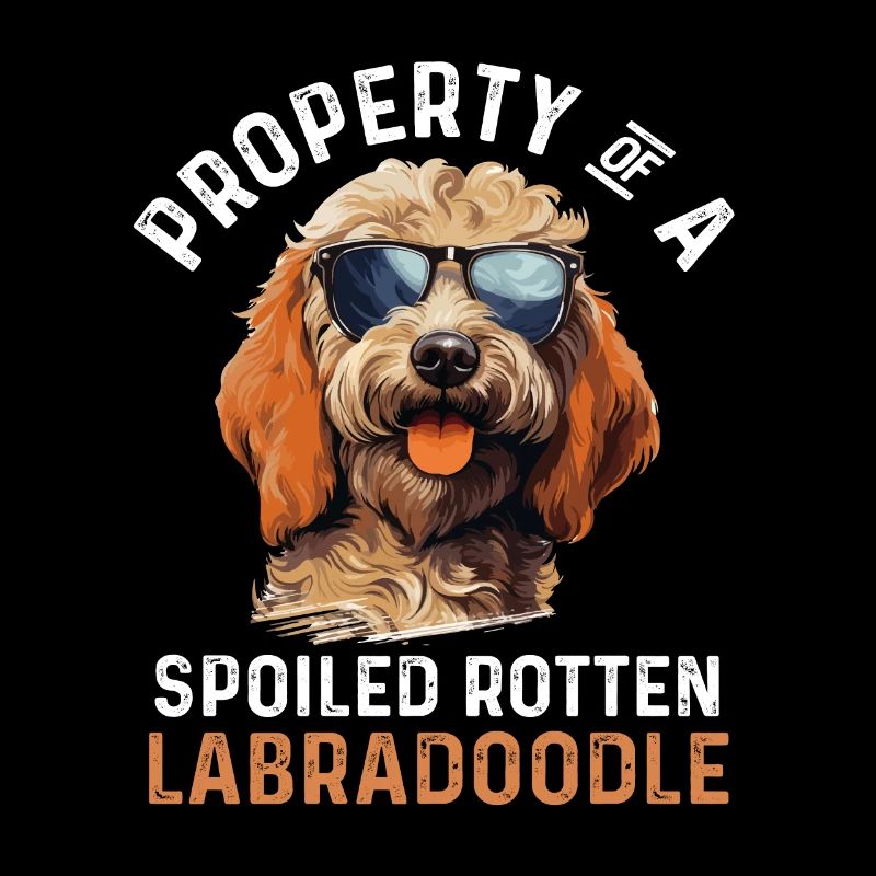 Labradoodle chien race animal de compagnie propriété d’un gâté