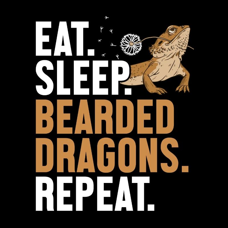 Manger Dormir Dragons Barbus Répéter Pogona Pet