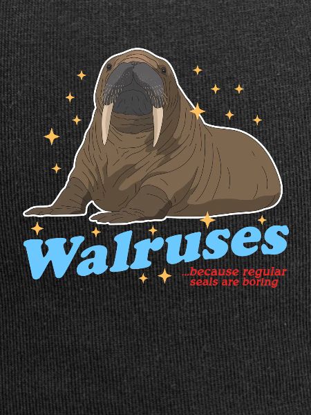 Walrus Walrus Seal Gift