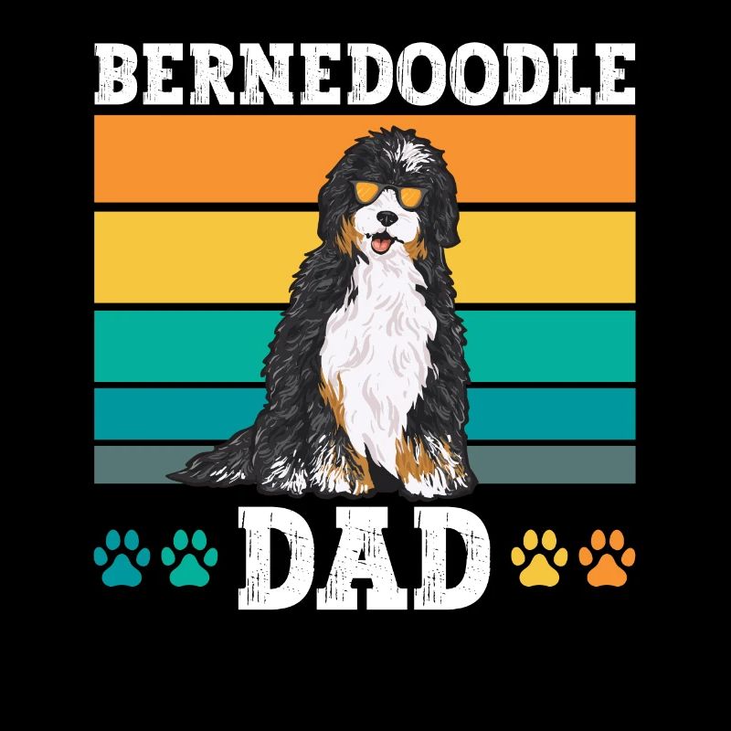 Bernedoodle Hund