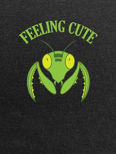 Feeling Cute Mantis