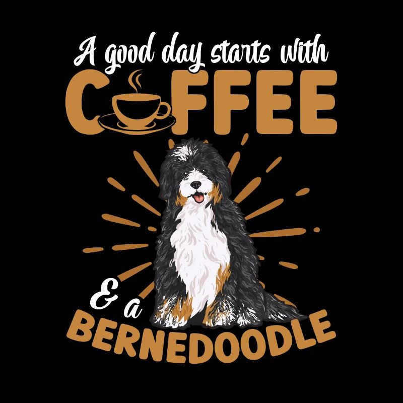 Bernedoodle Hund