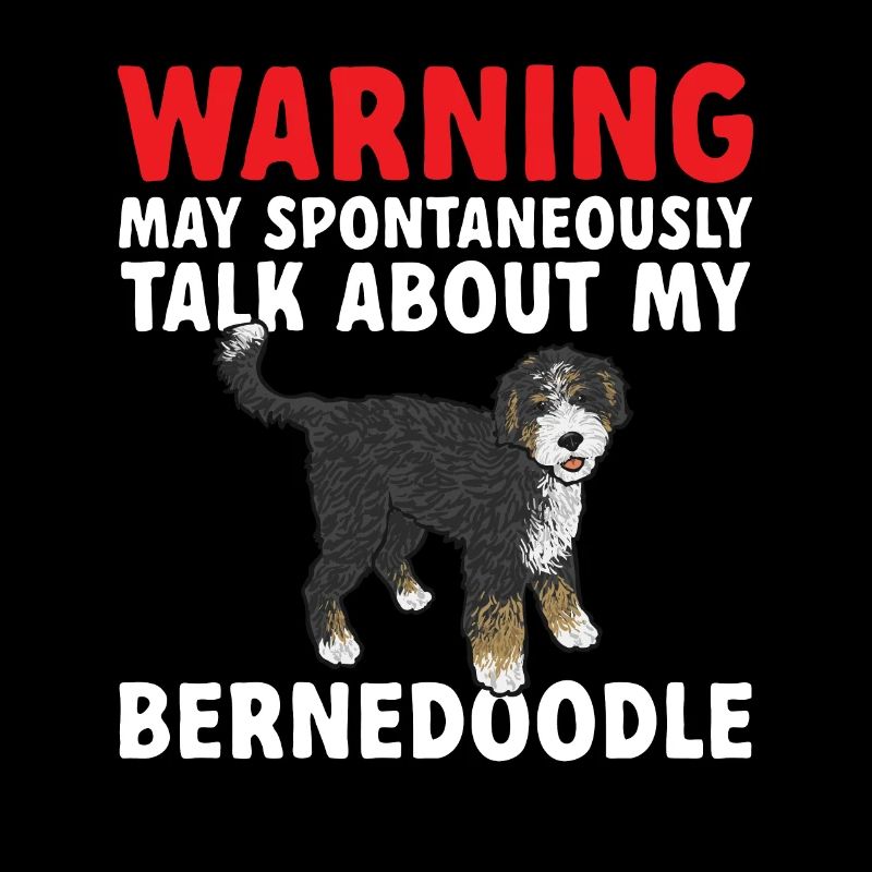 Bernedoodle Hund