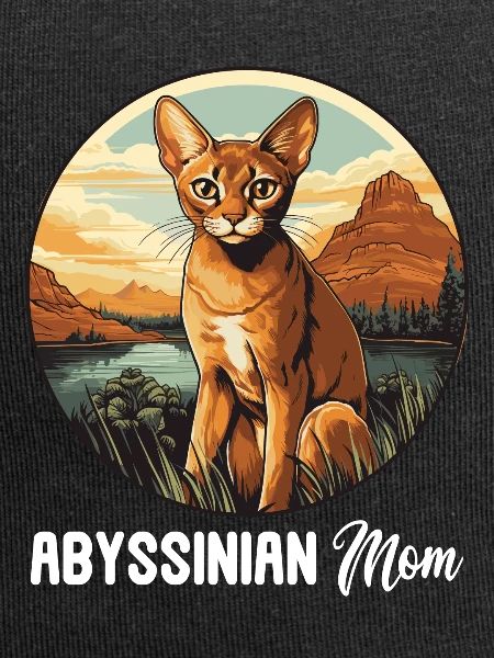Abyssinian Cat Abessinierkatze