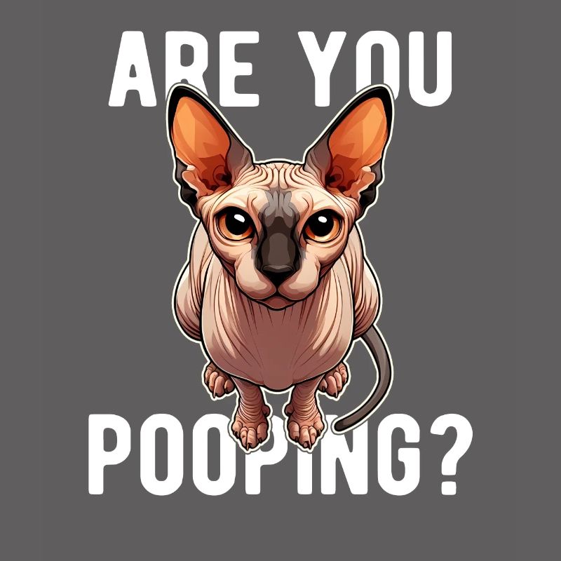 Est-ce que tu fais caca ? Drôle de chat Sphynx