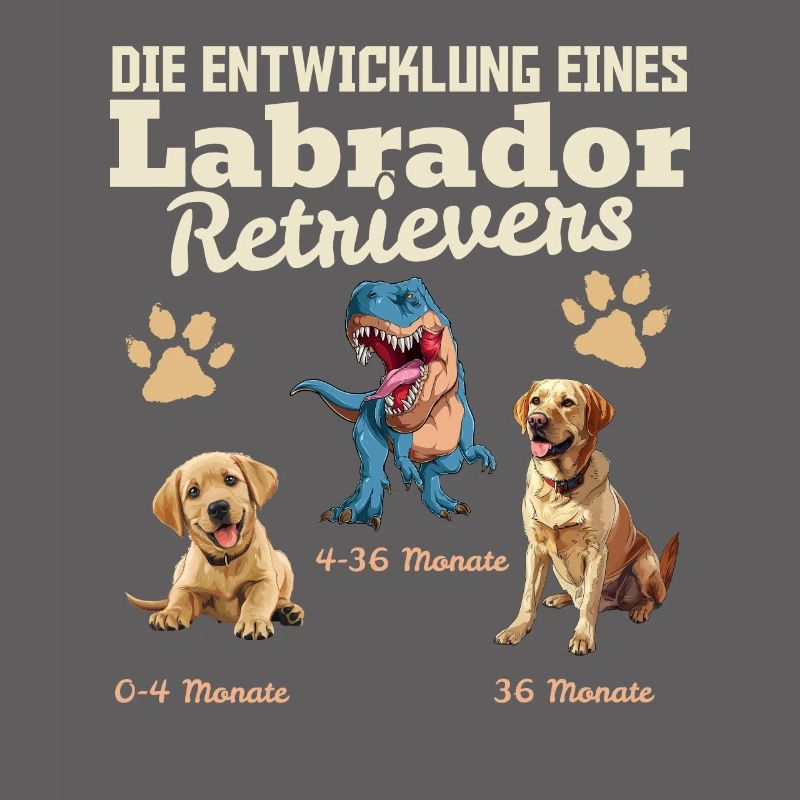 Hundebesitzer DIE EVOLUTION EINES LABRADOR