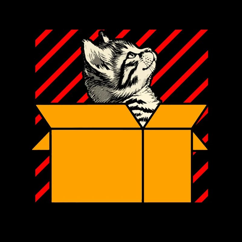 Cat In Box Retro Cute Cat Lover Funny