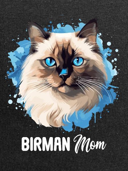 Birman Cat Birma Katze