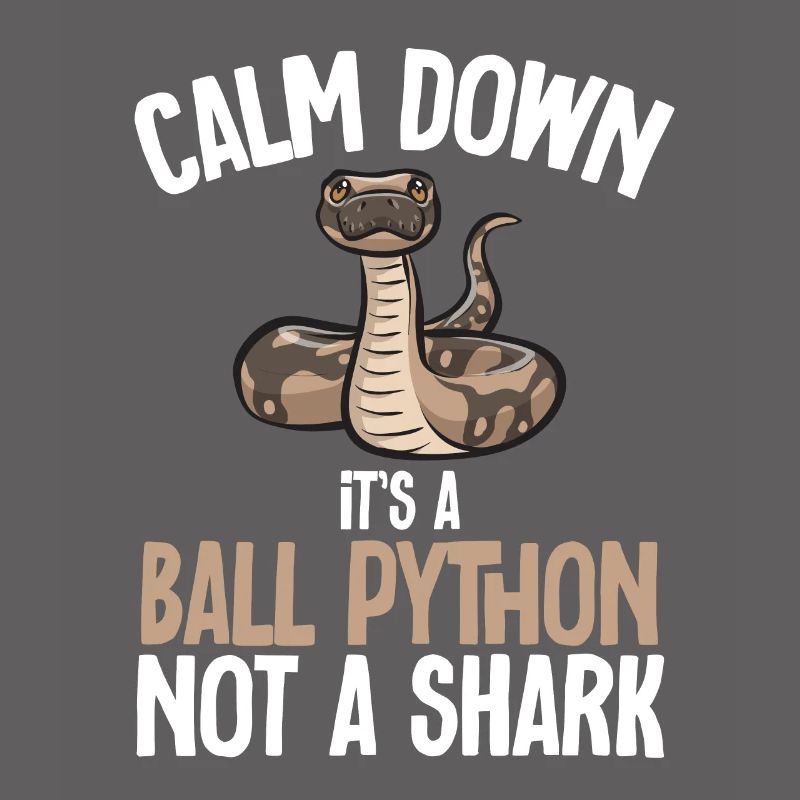 Ball Python Snake King Python