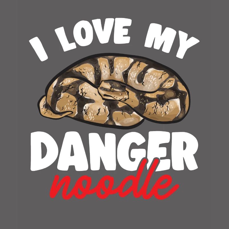 Ball Python Schlange Königspython