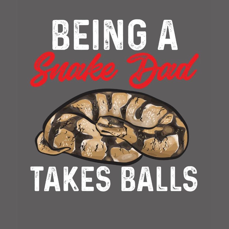 Ball Python Schlange Königspython