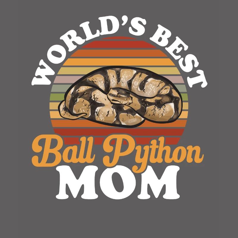 Ball Python Schlange Königspython