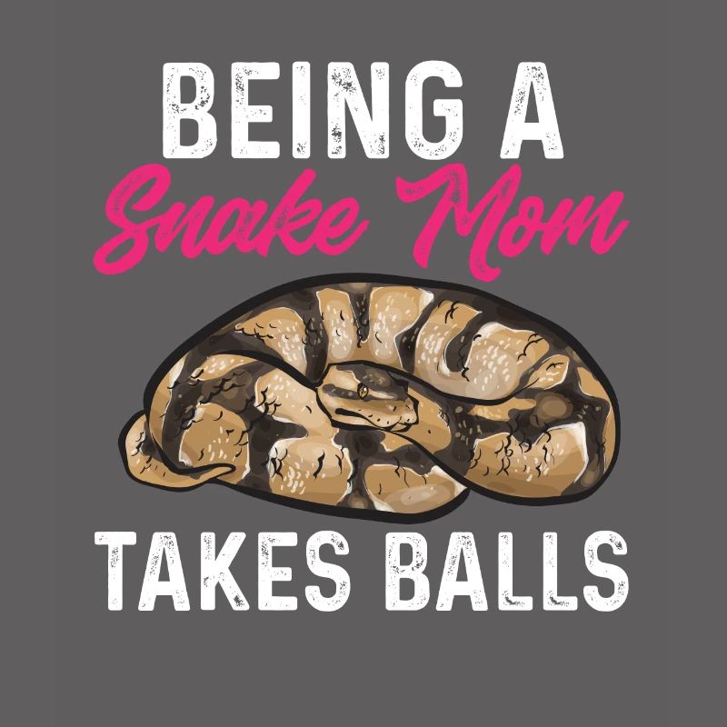 Ball Python Schlange Königspython