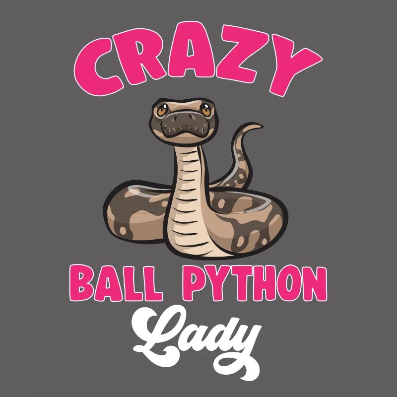 Ball Python Schlange Königspython