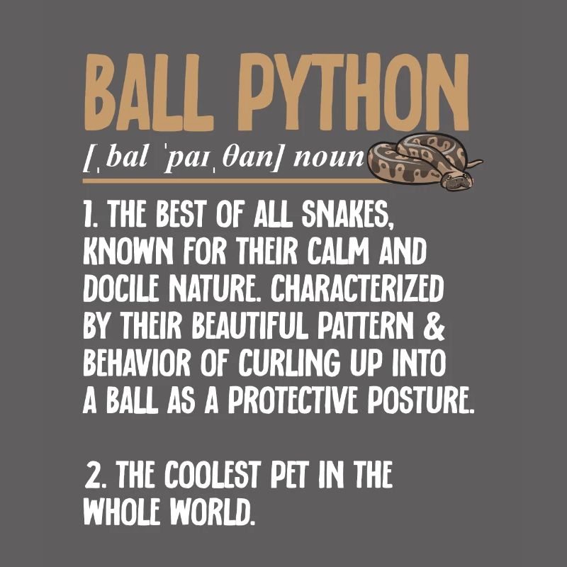 Ball Python Snake King Python