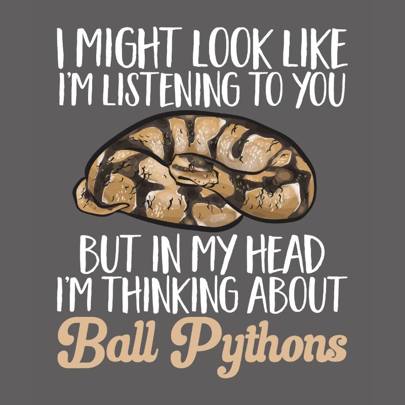 Ball Python Snake King Python