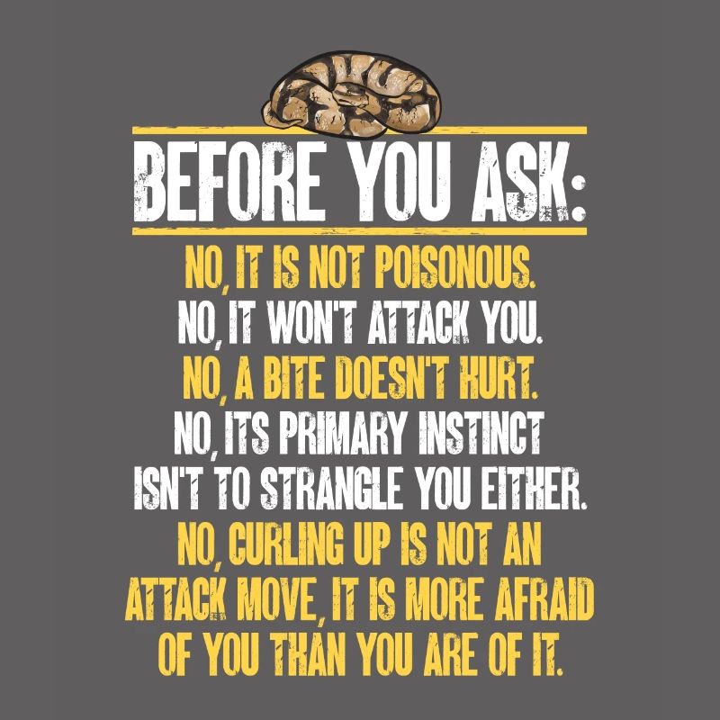 Ball Python Snake King Python