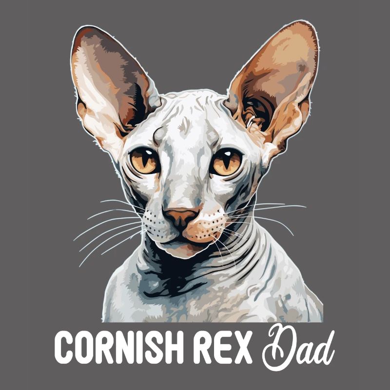 Cornish Rex Kätzchen Cornish Rex Katze