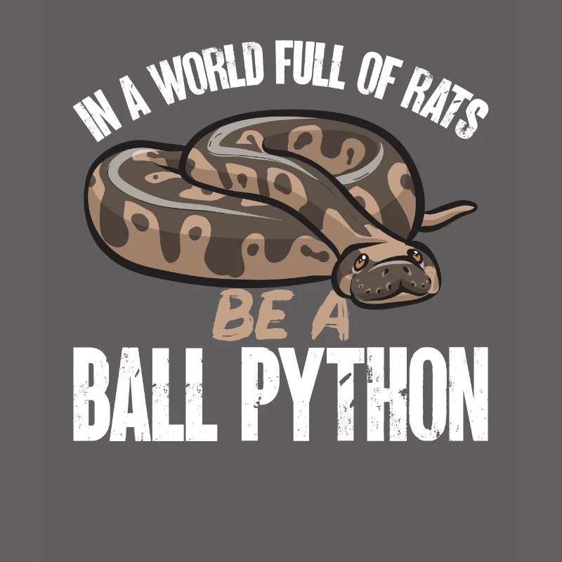 Ball Python Schlange Königspython